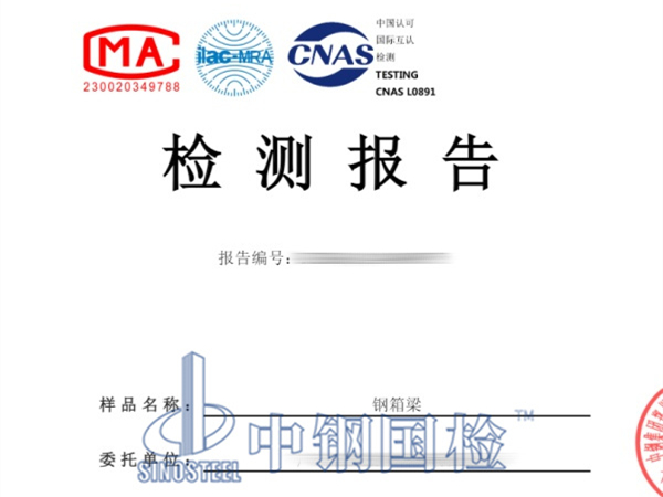 钢箱梁检测报告