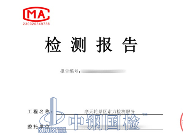 摩天轮拉索索力检测报告
