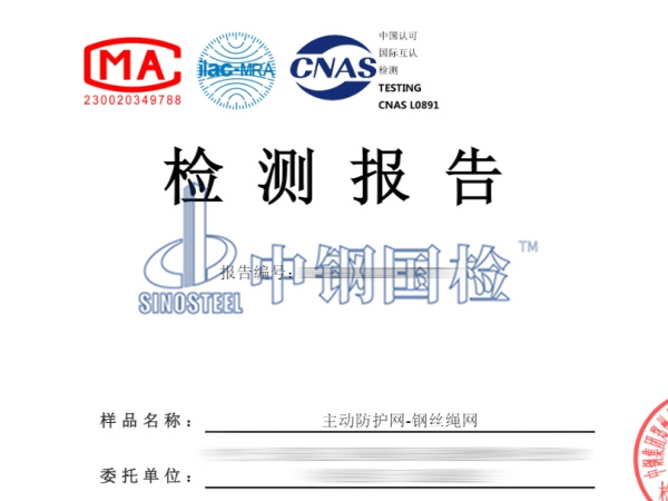 主动防护网-钢丝绳网检测报告图