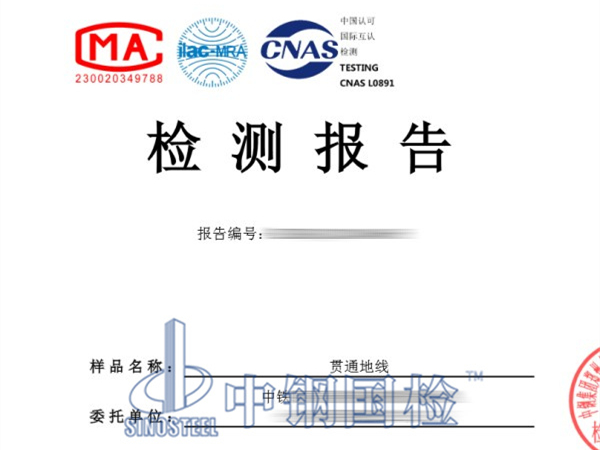 贯通地线检测报告