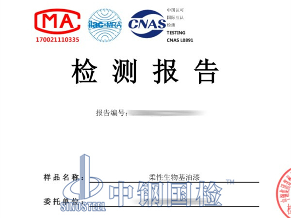 油漆检测报告