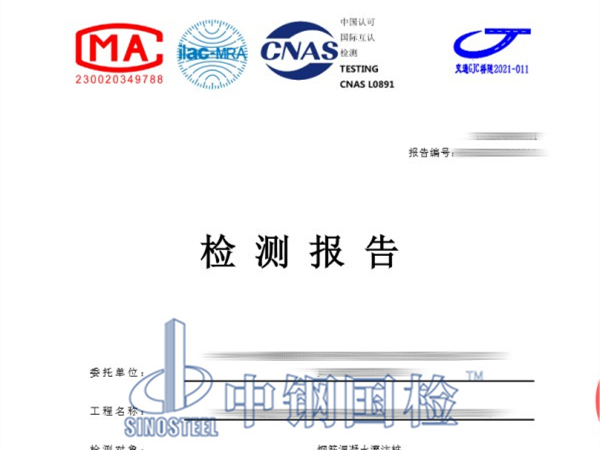 灌注桩检测报告