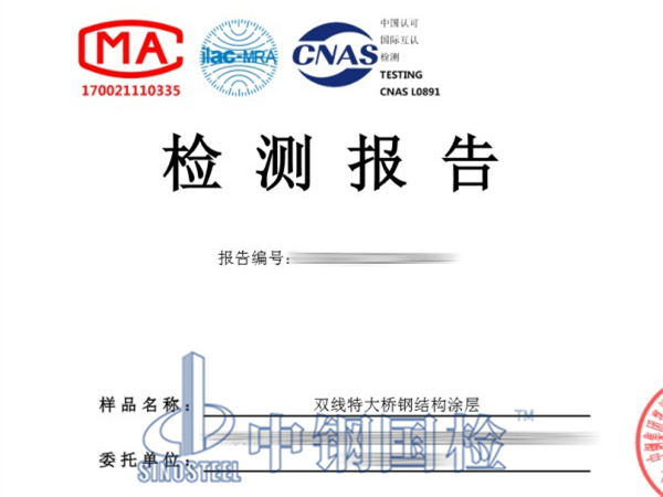 双线特大桥钢结构涂层检测报告