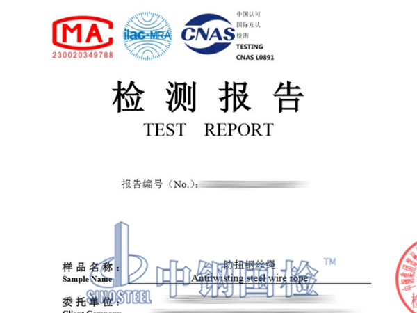 防扭钢丝绳检测报告