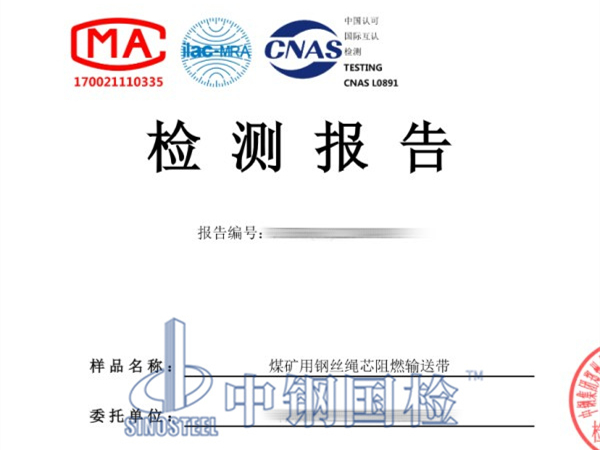 钢丝绳芯阻燃输送带检测报告