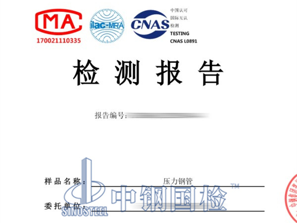 压力钢管检测报告