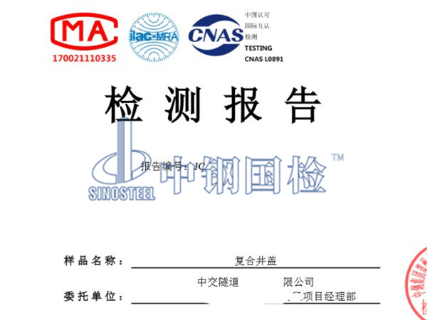 复合井盖检测报告图